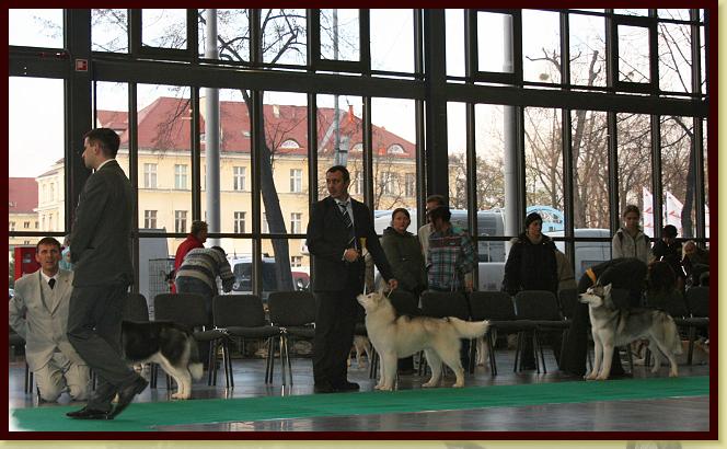 IMGP6045